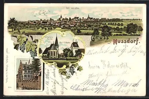 Lithographie Nussdorf / Vaihingen, Heilige Kreuz Kirche und Aussichtsturm, Schloss, Gesamtansicht