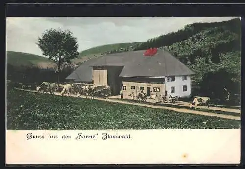 AK Blasiwald, Gasthaus zur Sonne