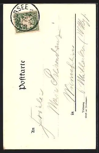 Lithographie Schliersee, Gasthaus zur Seerose, Dependance, Totalansicht