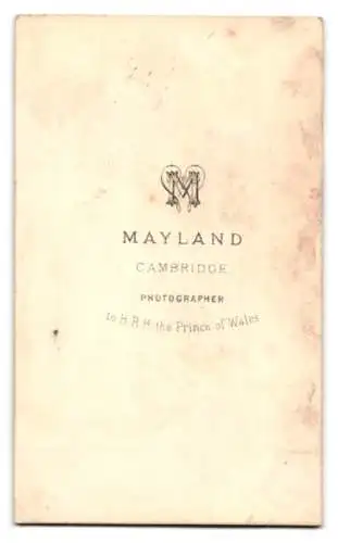 Fotografie Mayland, Cambridge, Porträt eines jungen Mannes