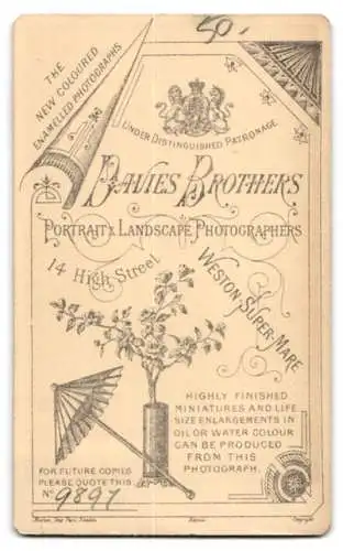 Fotografie Davies Brothers, Weston-Super-Mare, High Street 14, Porträt eines eleganten jungen Mannes