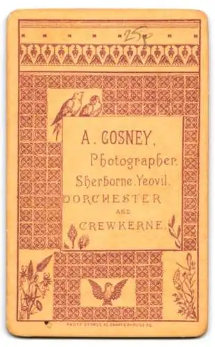 Fotografie A. Gosney, Sherborne, Kleinkind in dunklem Kleid