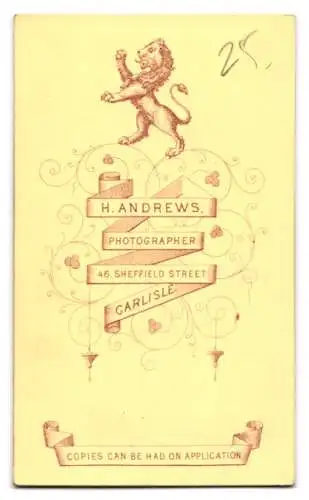 Fotografie H. Andrews, Carlisle, Sheffield Street 46, Portrait eines jungen Mannes