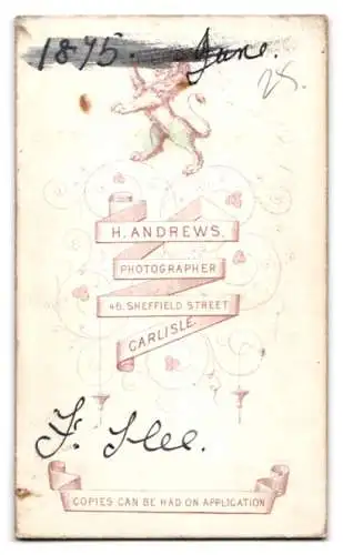 Fotografie H. Andrews, Carlisle, Sheffield Street 46, Porträt eines jungen Mannes in feinem Anzug