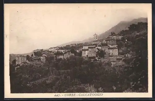 AK Calcatoggio /Corse, Panorama