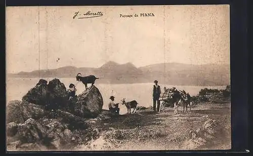 AK Piana, Panorama