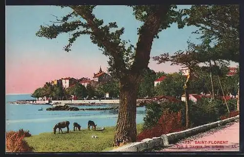 AK Saint-Florent, Vue à travers las arbres