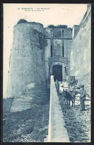 AK Bonifacio, Les Remparts, entree de la Ville mit zwei Eseln
