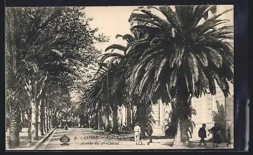 AK Ajaccio /Corse, Avenue du 1er Consul