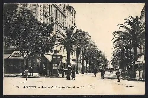 AK Ajaccio /Corse, Avenue du Premier Consul