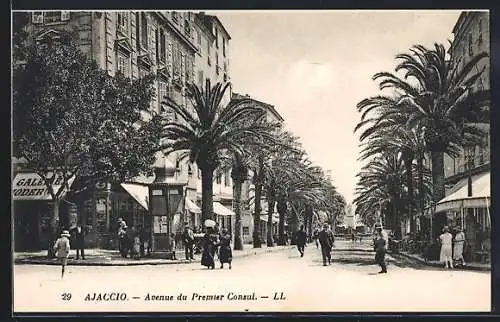 AK Ajaccio, Avenue du Premier Consul