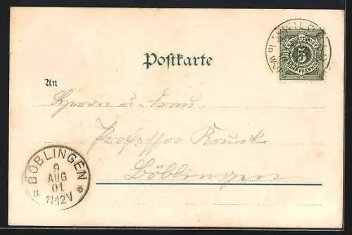 AK Wildbad / Schwarzwald, Olga-Strasse, Flusspartie