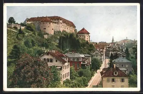 AK Tübingen, an der Neckarhalde mit Schloss Hohentübingen