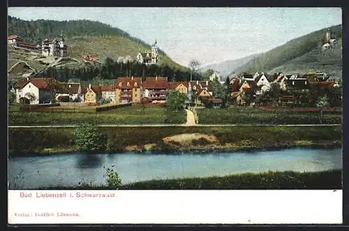 AK Bad Liebenzell, Ortsansicht mit Villenviertel und Burg