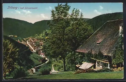 AK Triberg, Ortsansicht mit Bergblick