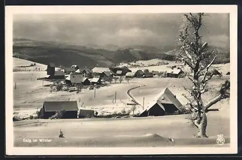 AK Saig, Teilansicht mit Gasthaus und Pension zum Ochsen im Winter