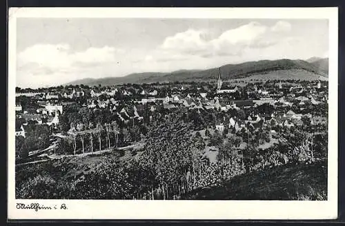 AK Müllheim, Panorama