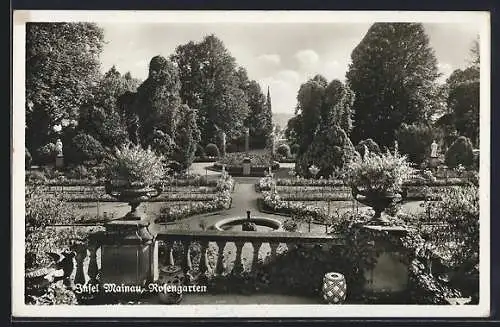 AK Insel Mainau, Blick über den Rosengarten mit Brunnen