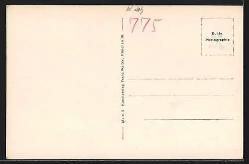 AK Mainau, Der Palmenhain am Schloss