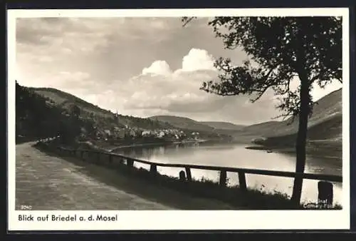 AK Briedel a. d. Mosel, Blick auf die Stadt