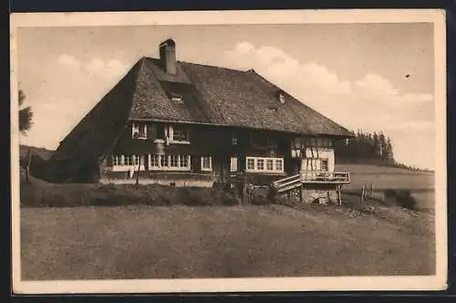 AK Haslach / Schwarzwald, Schwarzwaldhaus mit Feldern