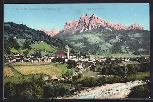 AK Fiera di Primiero, Panorama