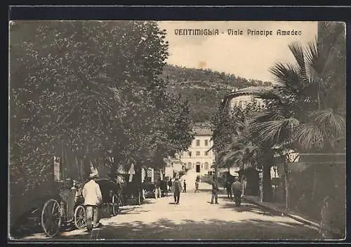 AK Ventimiglia, Viale Principe Amedeo