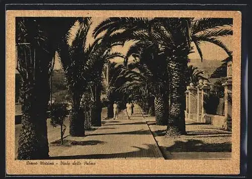 AK Diano Marina, Viale delle Palme