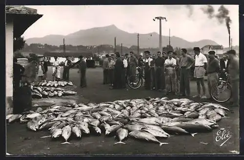 AK Saint-Jean-de-Luz, Au Port Vieux, Vente de Poisson a la Criee