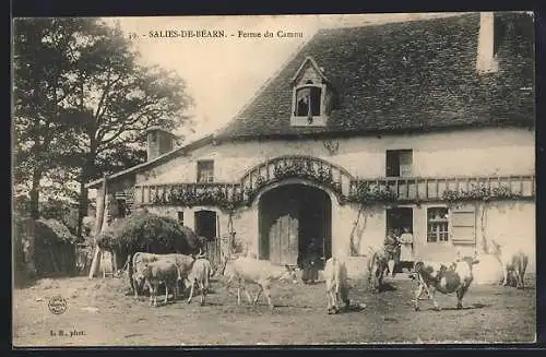 AK Salies de Béarn, Ferme du Camou