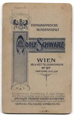 Fotografie A. Schwarz, Wien, Hütteldorferstr. 127, Österreichischer Wandersmann in Tracht mit Wanderstab & Medaillen