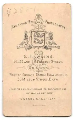 Fotografie Hawkins, Brighton, Preston Street 32, 33 und 38, Sitzende Dame in elegantem Kleid