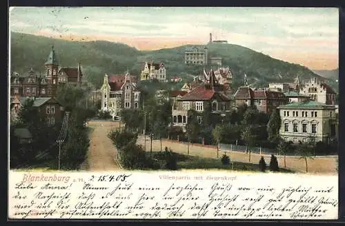 AK Blankenburg / Harz, Villenpartie mit Ziegenkopf