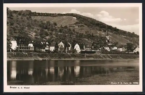 AK Briedel a. d. Mosel, Die Ortschaft vom Wasser aus