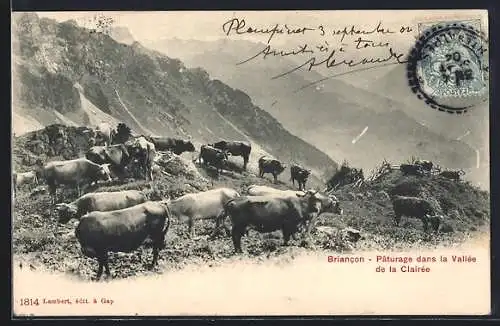 AK Briancon, Pâturage dans la Vallée de la Clairée