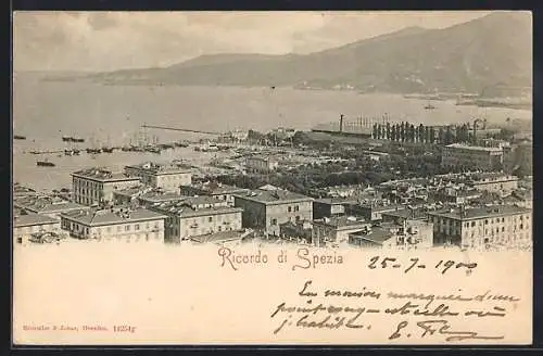 AK Spezia, Panorama