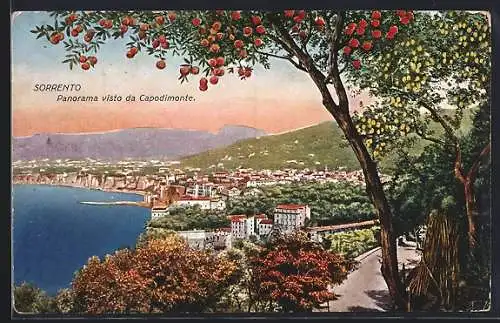 AK Sorrento, panorama visto da Capodimonte