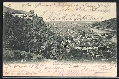 AK Heidelberg, Totalansicht mit Neckar und Burg aus der Vogelschau