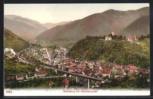 AK Hornberg / Schwarzwald, Ortsansicht mit Eisenbahn