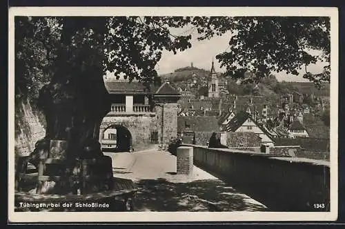 AK Tübingen, Partie bei der Schlosslinde, mit Tordurchgang