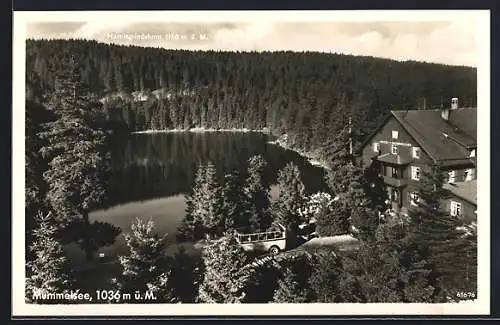 AK Seebach / Schwarzwald, Blick auf See mit Hotel Mummelsee