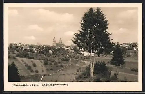 AK Freudenstadt /Schwarzwald, Blick vom Finkenberg zum Ort