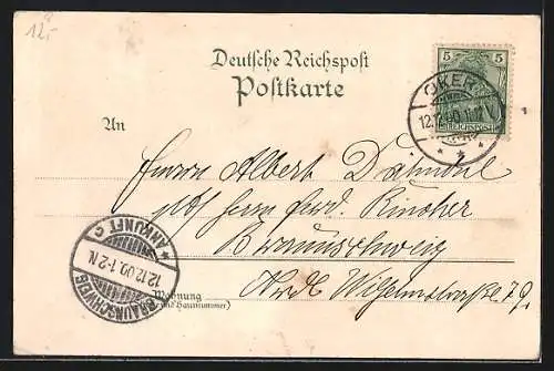 Lithographie Oker, Ortsansicht, Waldhaus, Radowklippe