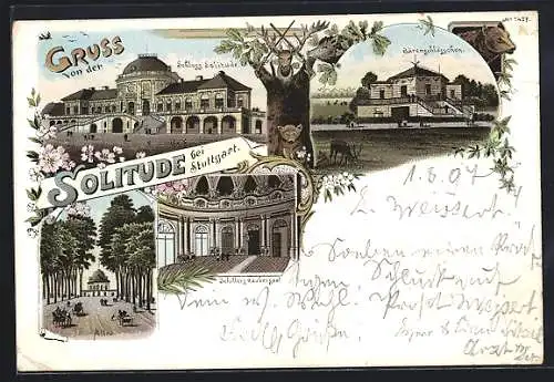 Lithographie Stuttgart, Schloss Solitude, Allee, Schillers Räubersaal, Bärenschlösschen