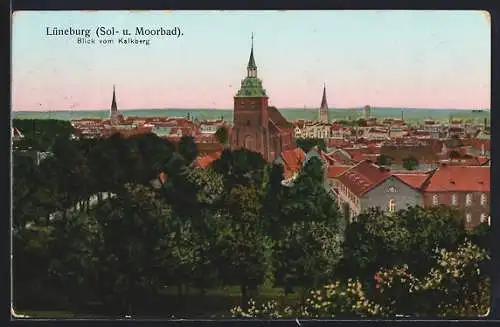 AK Lüneburg, Blick vom Kalkberg