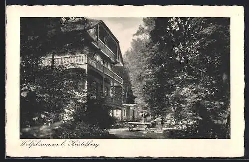 AK Heidelberg, Café- Restaurant Wolfsbrunnen