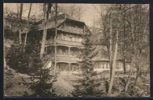 AK Heidelberg / Neckar, Wolfsbrunnenrestaurant im Wald