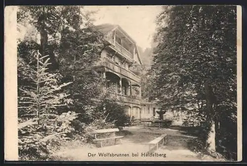 AK Heidelberg, Gasthaus Wolfsbrunnen im Wald