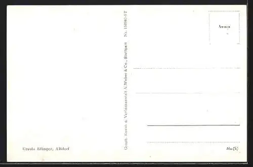 AK Alfdorf b. Schwäb. Gmünd, Strassenpartie mit Fachwerkhäusern