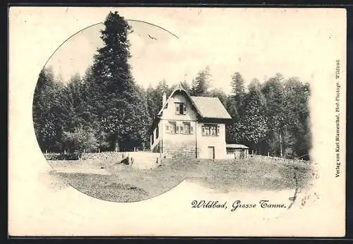 AK Wildbad / Schwarzwald, Gasthof Grosse Tanne